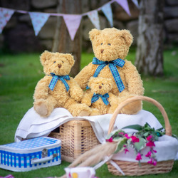Bracken bear
