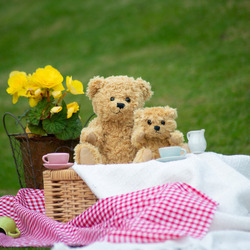 Classic jointed teddy bear
