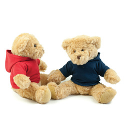 Teddy hoodie