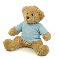Teddy t-shirt