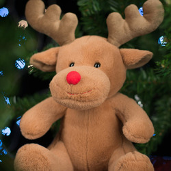 Reindeer